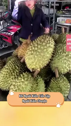 Cre:tổng hợp 😂#fypシ #tiktokgiaitri #fypシ #xuhuong #viral #ninicat27 