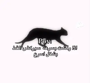 #عبدالرحمن🇸🇦 #fyp 
