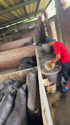 #satisfying #tools #in #action  #foryou