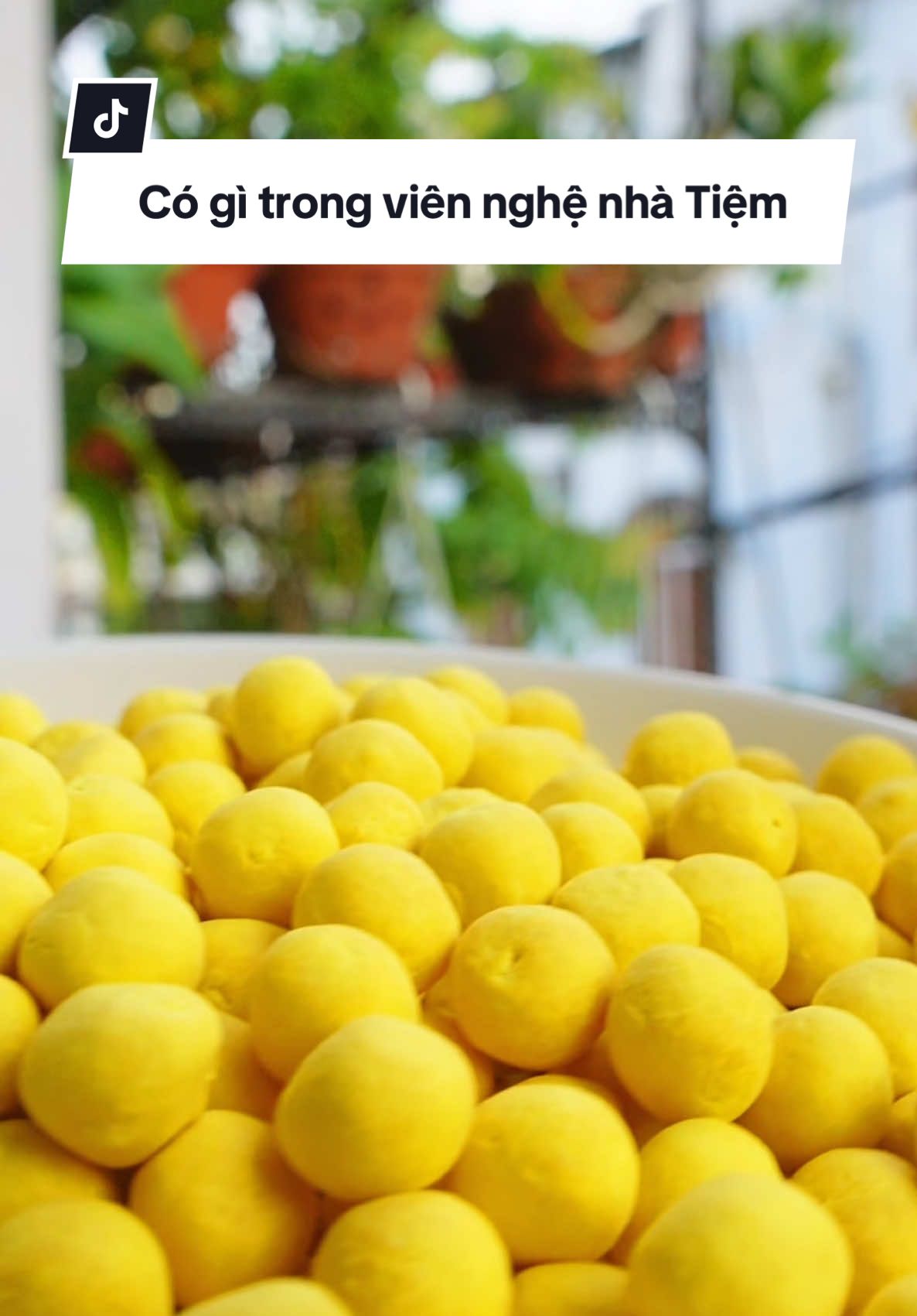 Viên nghệ sữa ong chúa nhà Tiệm làm từ các nguyên liệu thiên nhiên #tiemphonui #viennghesuaongchua #tiemphonui 