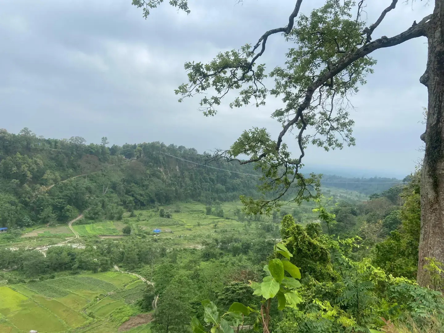 peace of nature....🌷💗#peace #fypシ゚ 