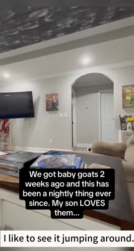 It’s so interesting#goat #funny #happy #cute #Love #happybirthday #funnyvideos #funnytiktok 