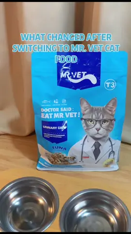 Looking for a big change kay furbaby? Ito na yonnn! Super love how my cats love this one di talaga tinitigilan 😭 #mrvet #mrvetph #mrvett3 