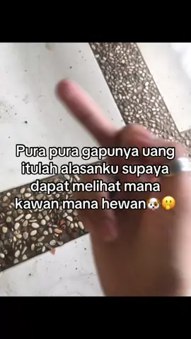 #katakatanyindir #katakata #barxolid #sindangjayawell #hatihati #temanmunafik #fypin #xybca #bismilahfyp #fypage 