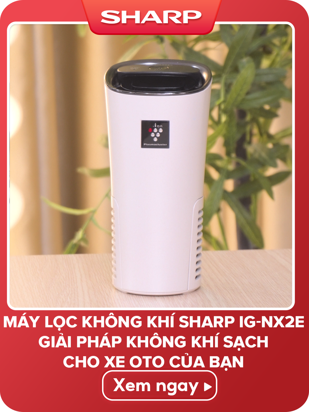🚗 Giải pháp không khí sạch cho xe hơi của bạn cùng máy lọc không khí ô tô Sharp IG-NX2E Chống bụi mịn, khử mùi hôi, diệt khuẩn chỉ với 1 chiếc máy lọc nhỏ gọn! 🌿 Hít thở thoải mái – hành trình thêm thư thái! #LocKhongKhiOTo #KhongKhiSachMoiNgay #sharp #tiktokshop