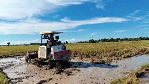 giling giling #fyppppppppppppppppppppppp #rotavator #rota100  #petaniindonesia🇮🇩🇮🇩🇮🇩🌿🌿 #CapCut #tiktokviral 