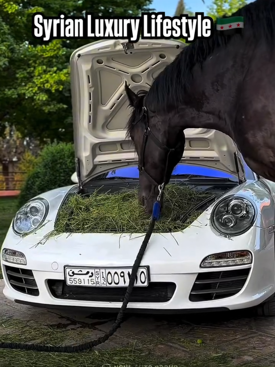 #foryou #explore #fpryourpage #syria #ksa #🇸🇦 #🇸🇾 #trending #porsche #porsche911 