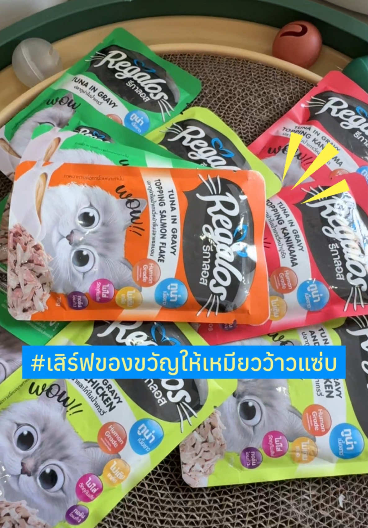 ไม่รู้จะกินรสไหนก็เลือกกันเองเลยแล้วกันน จับบอลลุ้นเปียกรสโปรด~ มีกิจกรรมและของรางวัลท้ายคลิปน้า 😘 #มูมินแมวเหนียง #มู้ดดี้แมวแสบ #แมว #แมวน่ารัก #สวนสัตว์tiktok #เสิร์ฟของขวัญให้เหมียวว้าวแซ่บ #รีกาลอสแค่เปิดก็ว้าว #รีกาลอส #Regalos #อาหารแมว #แมวอ้วน #แมวน่ารัก #cat #catsoftiktok 