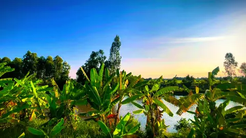 Vẫn mãi nhớ #chill #binhyen #tamtrang #hoanghon #63tiengiang #xuhuong #lofi 