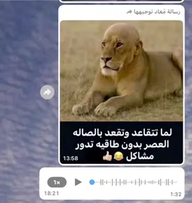 #ابوسارة #النهاري #اكسبلورexplore #ترند #الشعب_الصيني_ماله_حل😂😂 #اكسبلور #مالي_خلق_احط_هاشتاقات #foryou #f #fyp #لايك #متابعه 