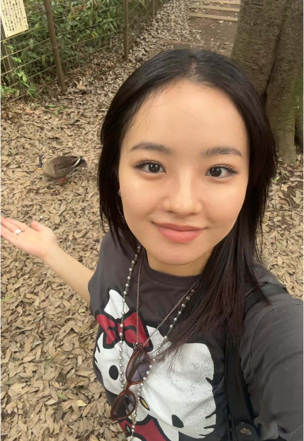 Why are you there? Why is this bird here? Are you ok??🤭