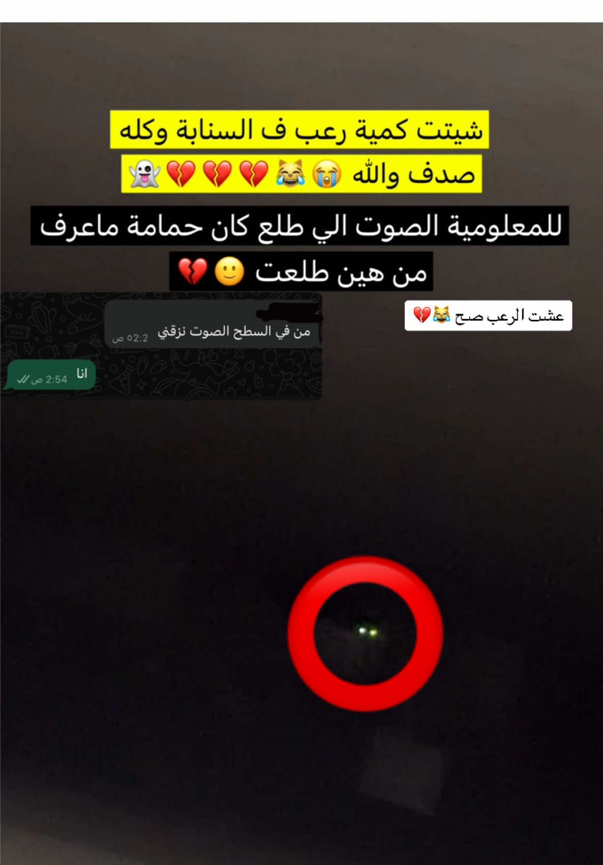 لما قلت عق ضربت حمامة ف الجدار من هين طلعت الله اعلم 😹💔👻 #الشعب_الصيني_ماله_حل😂😂 #شعب_الصيني_ماله_حل #رعب 