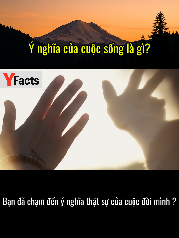 Ý nghĩa của cuộc sống là gì? #suyngam #nhansinh #cuocsong #truyencamhung #hanhphuc #ynghiacuocsong #phimngan #tiktoktrietly #thucte #voiceove #doisong #fyp #tiktokviet #shorts #khoahocxahoi #thongdiepcuocsong #dieuhaybiet #songtichcuc #trietlysong #viral