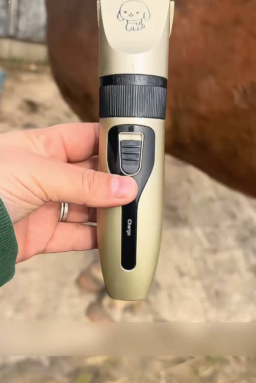 #tiktokshopmademebuyit  #TikTokShop #dogaccessories #petshaver #pethairremoval
