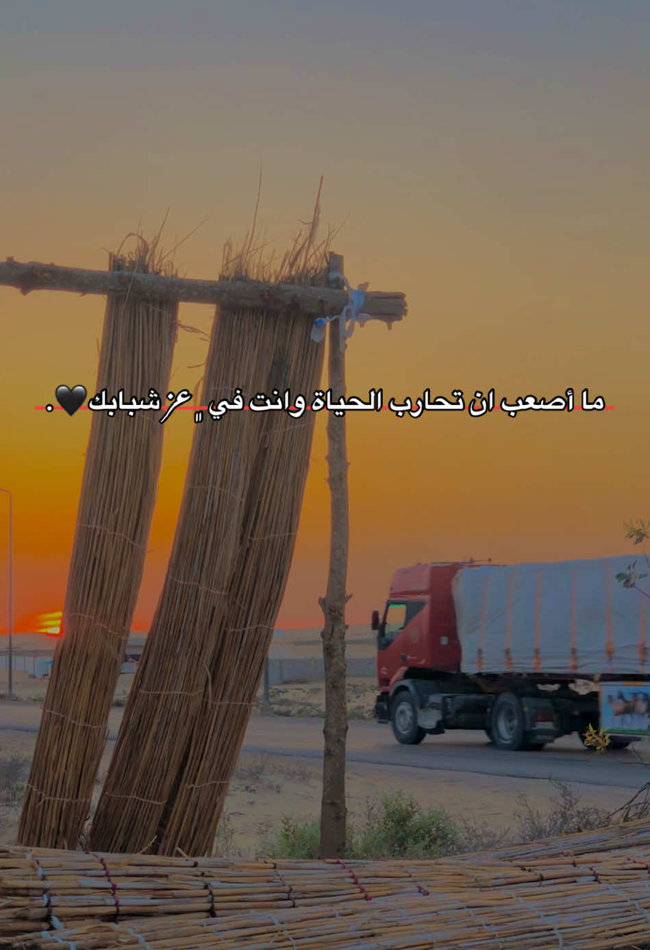 ما أصعب ان تحارب الحياة وانت في ﮼عز شبابك🖤.#مالي_خلق_احط_هاشتاقات🧢 