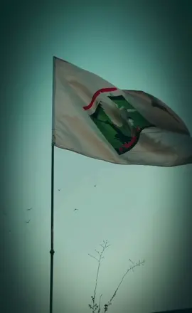 #سرايا_السلام_لَوٌآء_315_314_313_ #سرايا_السلام_حماة_الوطن🇮🇶🇮🇶 #سيد_مقتدى_ابوهاشم_روحي_لك_الفداء #الصدرين_جنود_السيدالقائد_مقتدى #سرايا_السلام_جنود_الله #اكسبلور 
