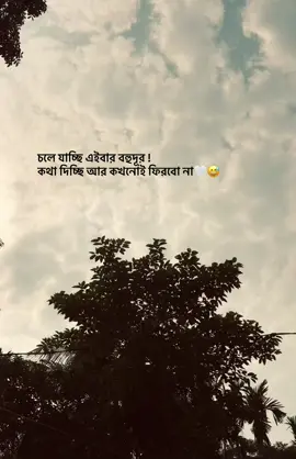 ✔️#foryou #vairal_video#foryoupage #views #nature #caption #sadvideo #caption #sad #foryou #fyp 