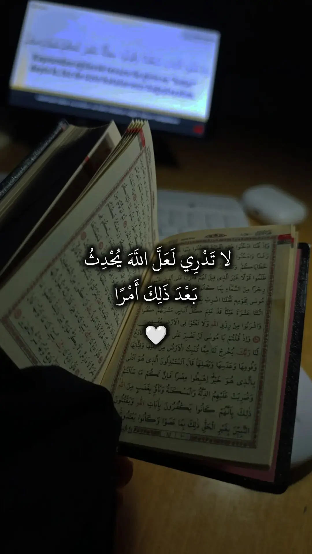 سورة الطلاق 🤍  #قران_كريم #ماهرالمعيقلي #اجر_لي_ولكم 