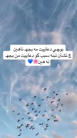 #زاخو_دهوك__ئاکری #ئاكر #دهوك_زاخو_سليماني_ئاكري_ئامیدی_هولیر #دعا 
