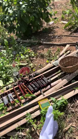 #benintiktok🇧🇯 @Babalawo Adeleke 