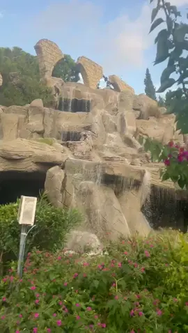 #standwithkashmir #freepalestine🇵🇸 