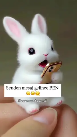 Senden mesaj gelince BEN🥰 #Sen #mesaj #aşk #aşksın #sevgi #sevgili #komikvideolar #komikpaylasimlar #sevimlihayvanlar #Love #loveyou #loveyoutiktok #loveyourself❤️ #canım #fyppppppppppppppppppppppp #keşfetteyizzz 