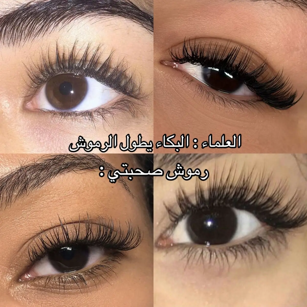 #محشي #ليبيا #طرابلس #في #خطر