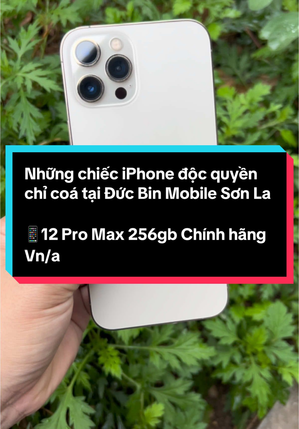 Những chiếc iPhone độc quyền chỉ coá tại Đức Bin Mobile Sơn La  📱12 Pro Max 256gb Chính hãng Vn/a | Pin 85 | HT 99% | Máy zin nguyên chưa bung mở máy. Mã này có 1 cây duy nhất và rất khó kiếm. Mời ace săn