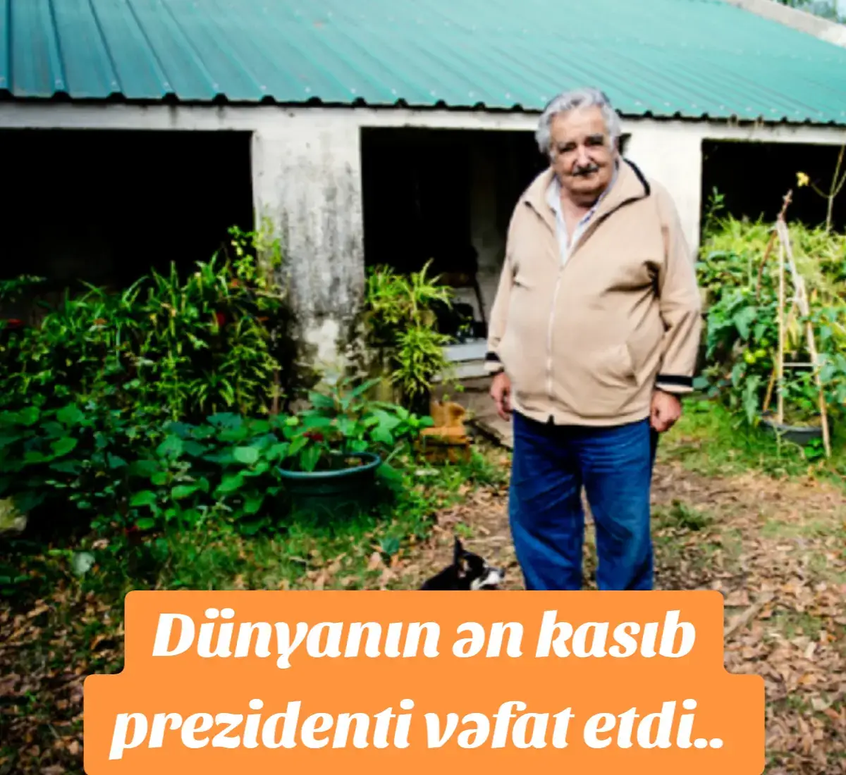 Dünyanın ən kasıb prezidenti vəfat etdi. #xosemuxika #josemujica #uruguay #latin #america #türkiye #türkiyekeşfettbeni #türkdizi# #azerbaycankesfet #azerbaycan 