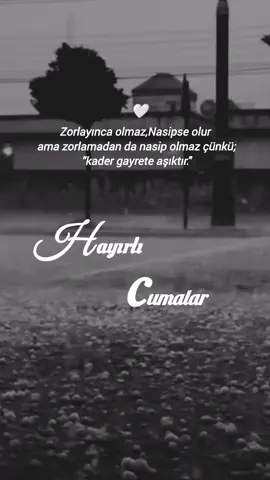 #hayırlıcumalar🌹🌺🌺🌷💖 #hayırlıcumalar #cuma #cumanız_mübarek_olsun🌹🕋🌹🕌🤲 #cumamesajları #kader #gayret #nasip #aşk #zor #iman #cumavideoları #🕊️ #❣️ #🌹🌹 #🌺 #🌷 #💐 