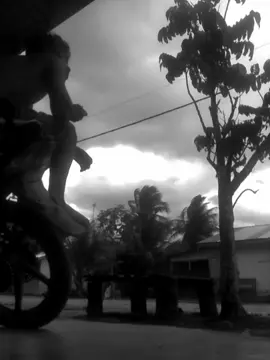 req kata katanya bolo