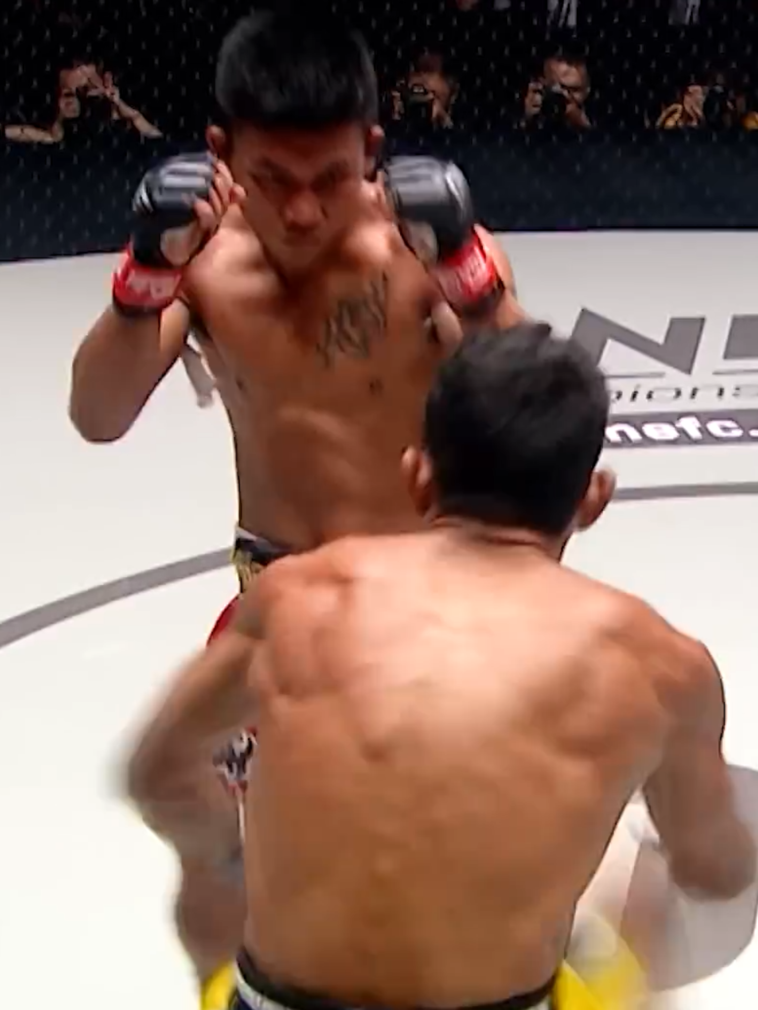 Cuộc ẩu đả giữa Rodtang và Walter Goncalves, kẻ tám lạng người nửa cân #onechampionship #onechampionshiptiktok #tiktokgiaitri #muaythai #kickboxing #mcv #kenhbongda #mma