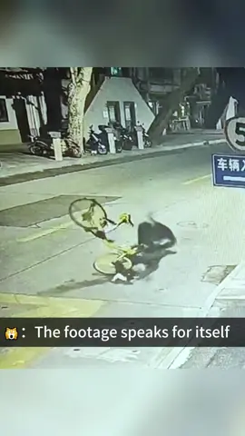 The behavior of cats under surveillance.🤣#cat #cats #catsoftiktok 