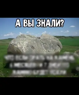 давайте скинемся Ринкеч на новый микрофон🎉 | го в мой тгк: Ринкеч на связи #on #fyp #озвучка #озвучкамемов #ринкеч 