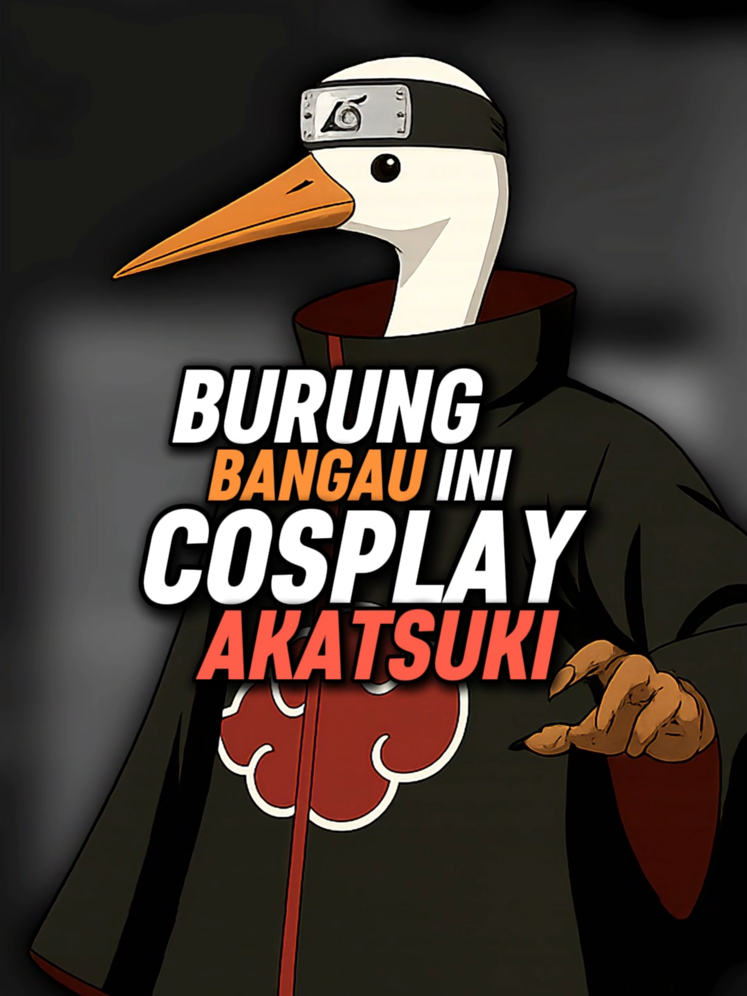 Burung Bangau Ini Cosplay Jadi Pain Akatsuki #fyp #fypシ゚ #viral #fypage #anime #narutoshippuden