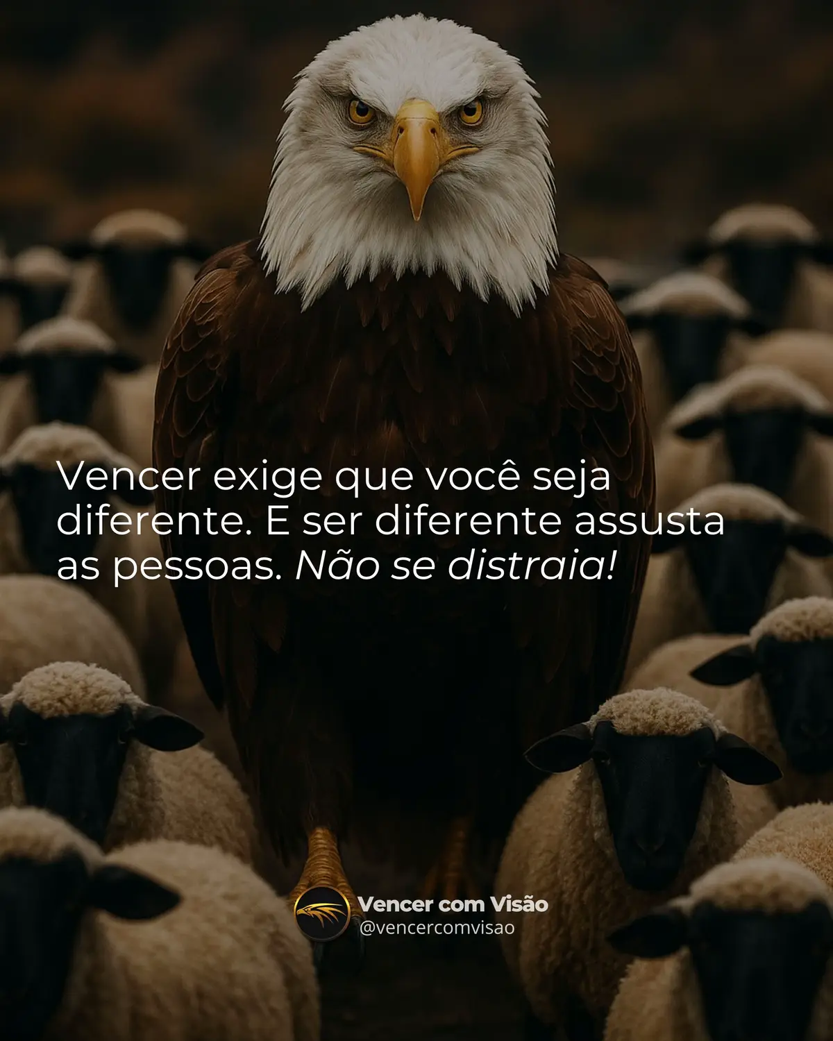 Ser diferente assusta. Mas é isso que separa quem vence de quem apenas assiste. Não se distraia tentando agradar. Seja fiel à sua evolução. O desconforto de hoje é o respeito de amanhã. #vencercomvisão 