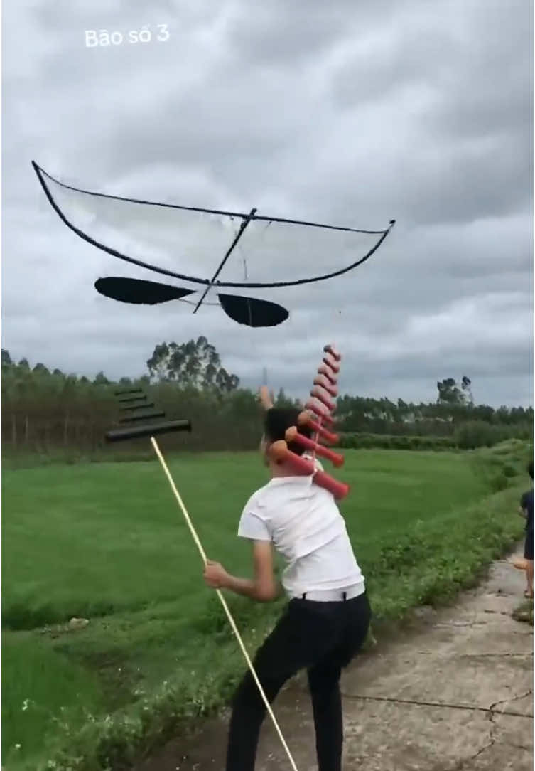 tổng hợp những con diều chiến gió bão 🤣 #xuhướng #xh #foryou #tiktok #xuhuong #fyp #danhuy #CapCut #hài #haihuoc #dieu #dieusao #dieusaovietnam #dieusaothainguyen #dieusaovietnam 