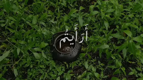 أستغفروا 🤍 | #قران #quranً #المنشاوي #محمد_صديق_المنشاوي 