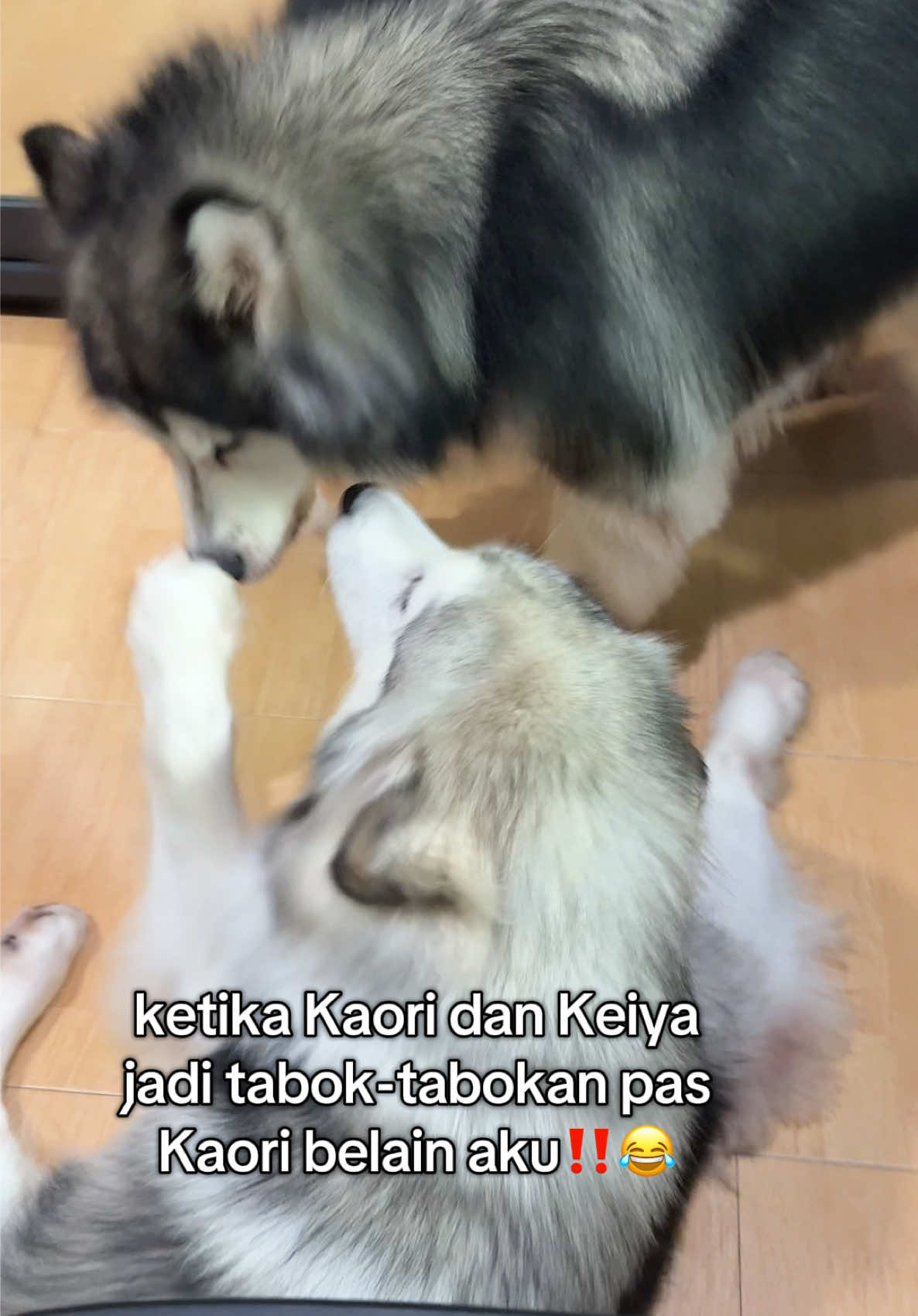 Kaori di tabok Keiya karena belain aku😩🙏