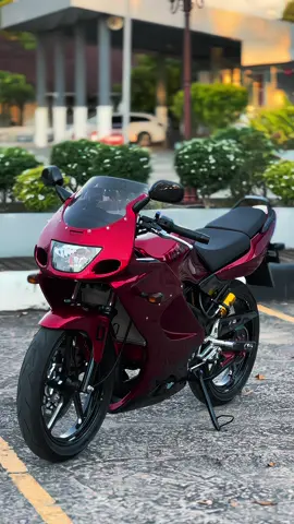 #kawasakininja #ninjarrold 