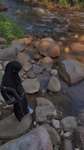 #CapCut 🤍🪴🍂🍁🪵🌿🪨