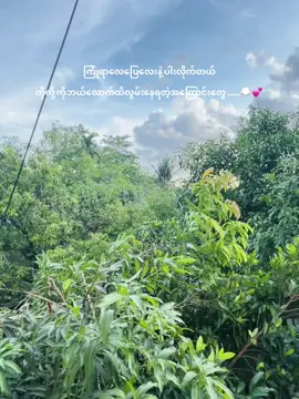 #fyp #viral #foryou #လွမ်းတယ်ကိုကိုရယ် 💭💕