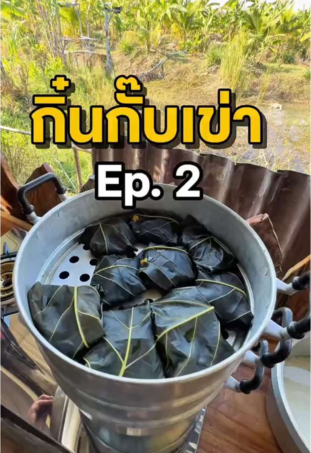 “กิ๋นกั๊บเข่า” Ep.2 เมนูวันนี้ (ห่อหมกปลาดุก สูตรโคราชเอ๋ง) แบบแป้งบ้าวเหนียวใบยอ ของโปรดเลยเด่ะแก่เอ้ย ✨🫶🏻 #กิ๋นกั๊บเข่า #ครัวกิ๋นกั๊บเข่า #ครัวเจ๊นุ๊ก #ห่อหมกโคราช #ห่อหมกใบยอ  #เจ๊นุ๊กรีวิวโคราช #อาหารโคราช #ของกินโคราช #เมนูพื้นบ้านโคราช #reviewkorat #นครราชสีมา 