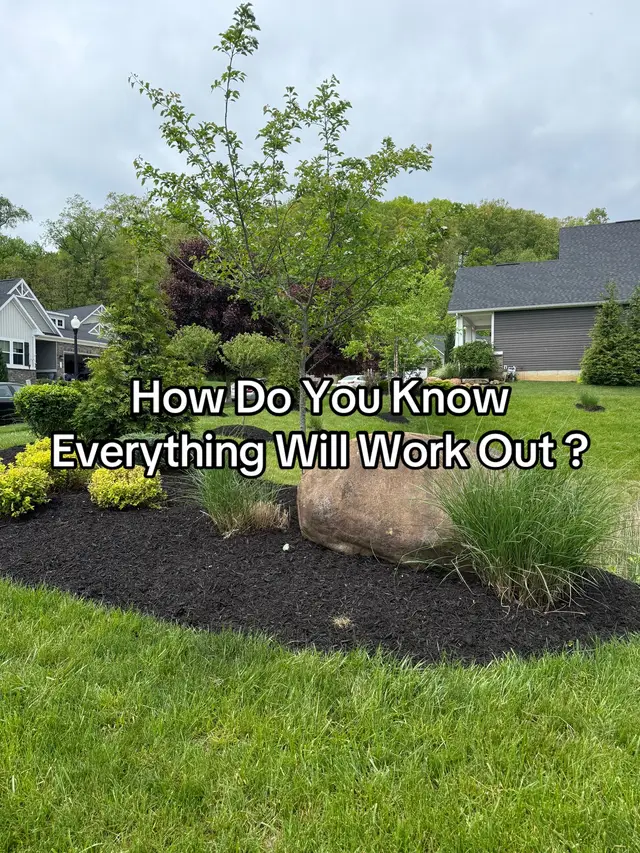 I’ve been praying for clarity—asking God for a sign that I’m moving in the right direction. Took a long walk to clear my head, and halfway through, I saw a bird I’ve never seen before. A small reminder: you’re not lost, just being guided. #TrustTheProcess #KeepGoing 