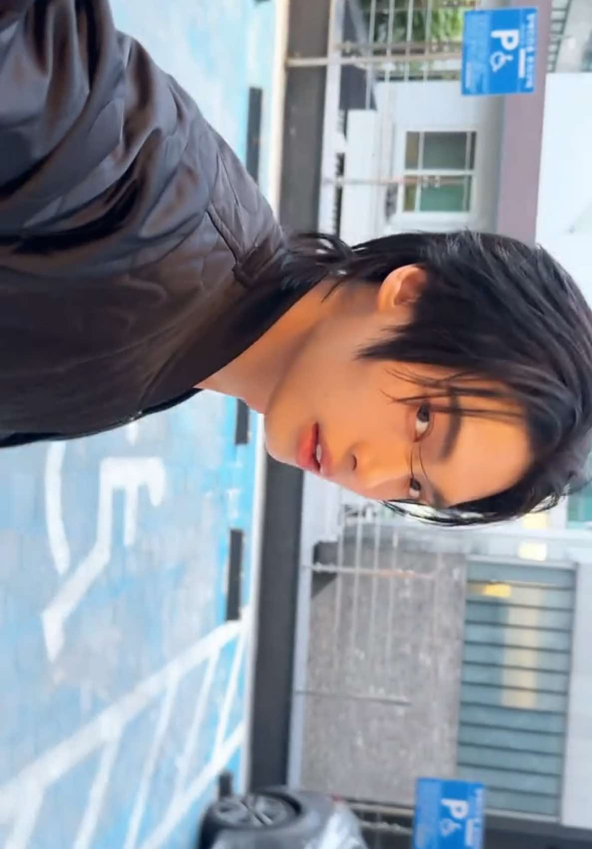 🐅