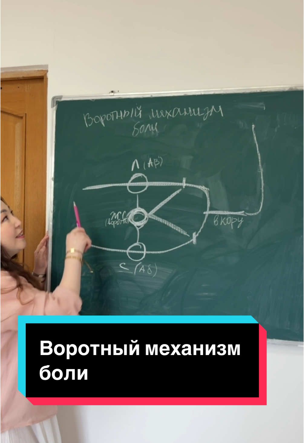 Знаешь, что боль можно «выключить»? Это не магия — это воротный механизм боли. Когда ты прижимаешь ушиб, кладёшь тепло или просто отвлекаешься — в спинном мозге словно закрываются «ворота», и болевой сигнал не доходит до мозга. #нейрофизиология #боль #здоровье #интереснооздоровье #патфиз #патофизиология #патогенез #нервнаясистемадетей #нервнаясистема #физиотерапевт #массаж #массаждетский #медицина #студентмедик #крму #асфен #асфендияров #казнму #казну #физиотерапия