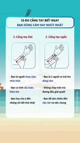 5S đo cẳng tay biết ngay bạn là người như nào #j4fun #sieuthisuckhoe268 #LearnOnTikTok #suthatlalung #suthatthuvi