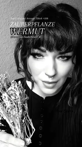 Achtsamkeit & Verantwortung beim Umgang mit dieser Magischen Pflanze  #esora #hexentipp #zauberpflanze #wermut #kräuterwissen #pflanzenwissen #pflanzenkunde #heilkräuter #hexe #witchcraft #hexentip #witchtok #healthy #räuchern #schutz #tarot #orakel #seherin #medium 