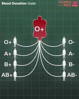 Blood Donation Guide - Everyone should know this information, that’s why we created this animation to clearly show which blood types can donate to and receive from others. Whether you're O-, AB+, or anything in between, this quick guide could help save lives!