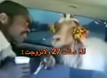 #fyp #رياكشن #منشن_للي_تحبه #عزابي 